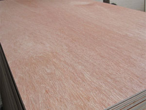 COMMERCIAL PLYWOOD